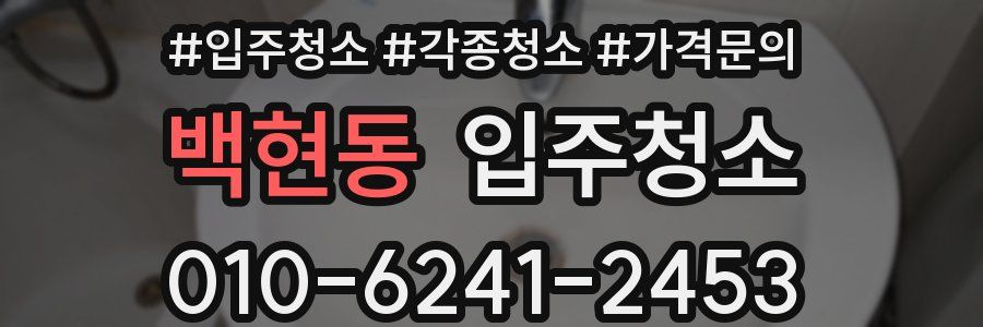 백현동 이사청소