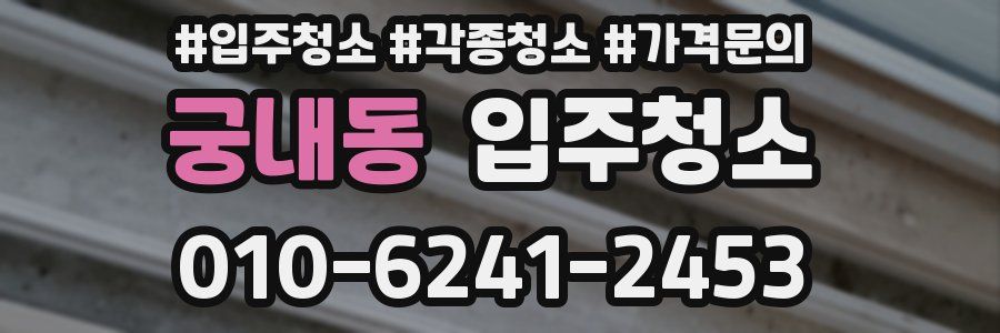 궁내동 이사청소