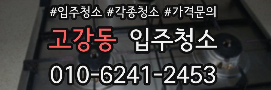 고강동 이사청소