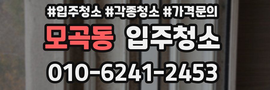 모곡동 이사청소