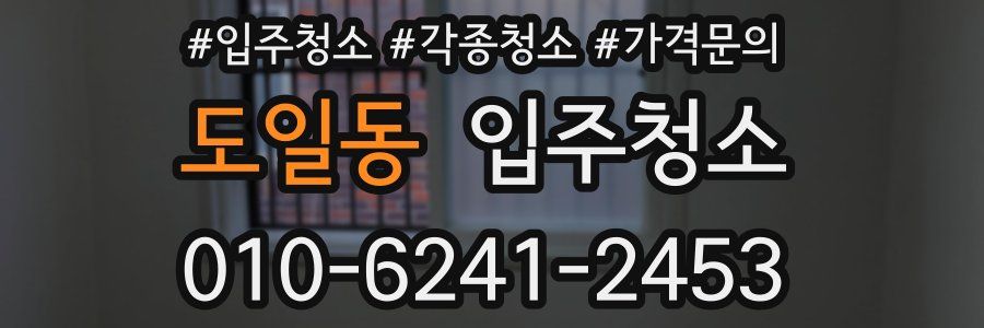 도일동 이사청소