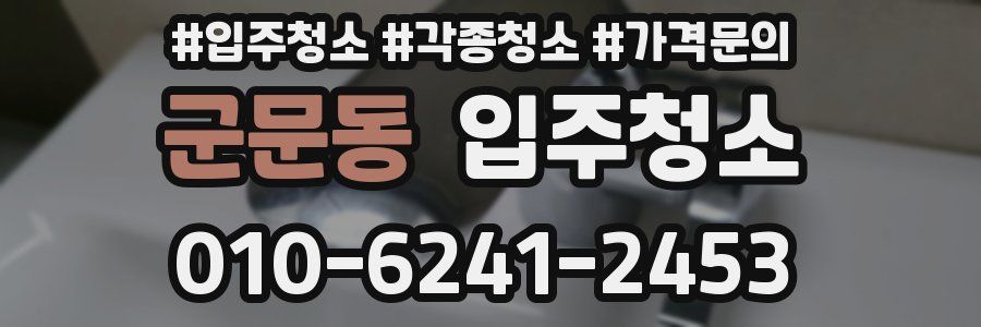 군문동 이사청소