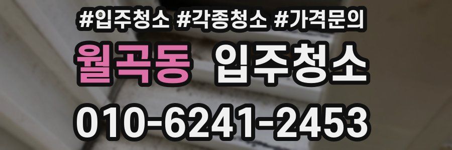 월곡동 이사청소