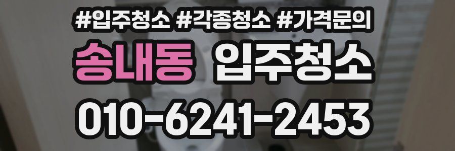 송내동 이사청소