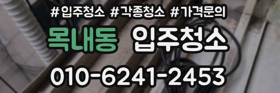 목내동 이사청소