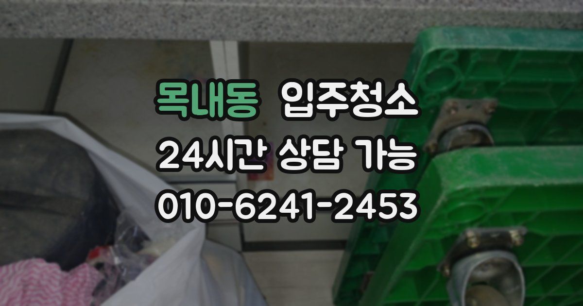 목내동 입주청소