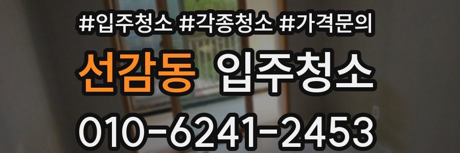 선감동 이사청소