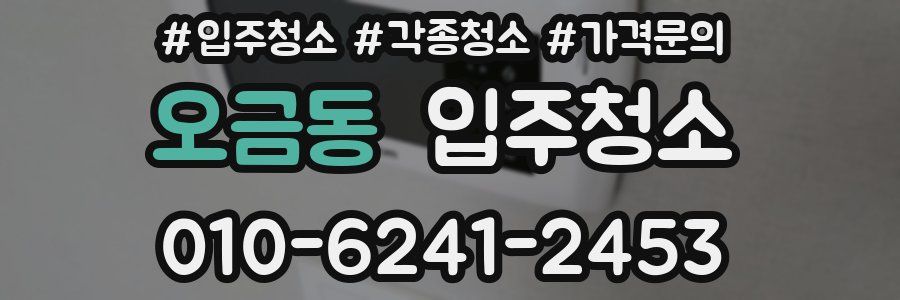 오금동 이사청소