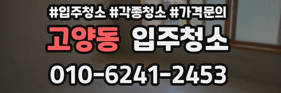 고양동 이사청소