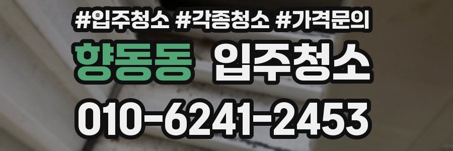 향동동 이사청소