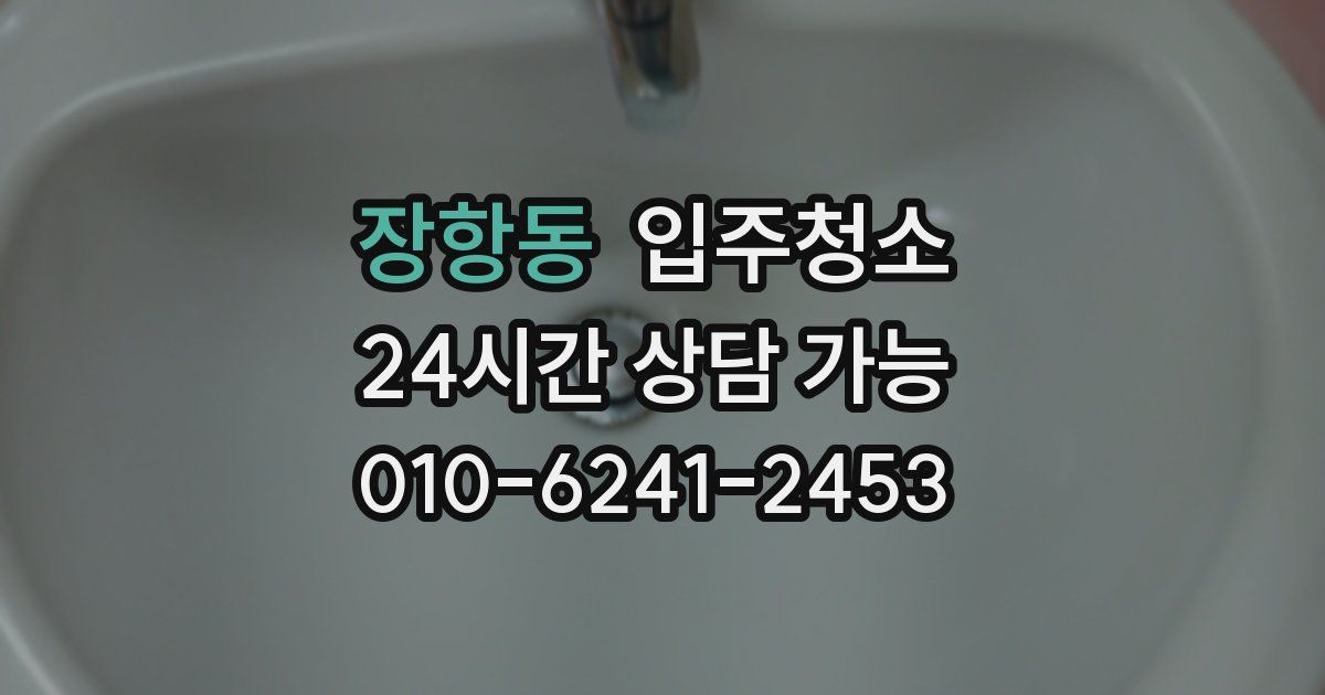 장항동 입주청소