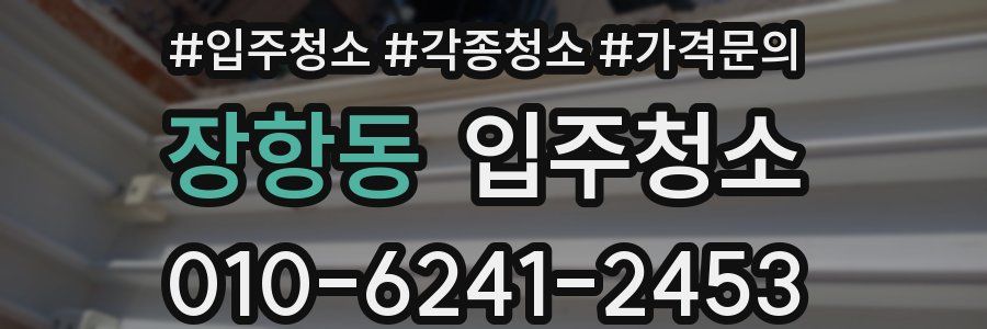 장항동 이사청소