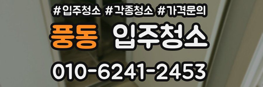풍동 이사청소