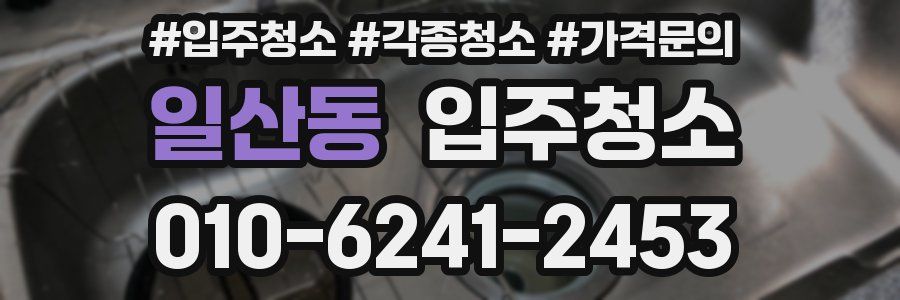 일산동 이사청소