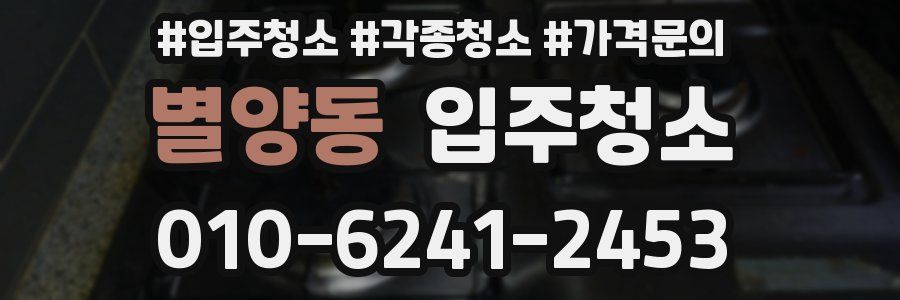 별양동 이사청소