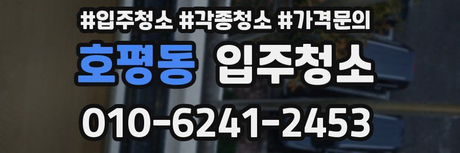 호평동 이사청소