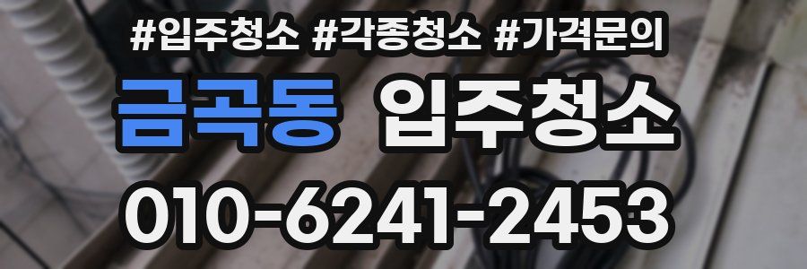 금곡동 이사청소