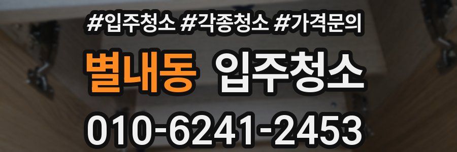 별내동 이사청소