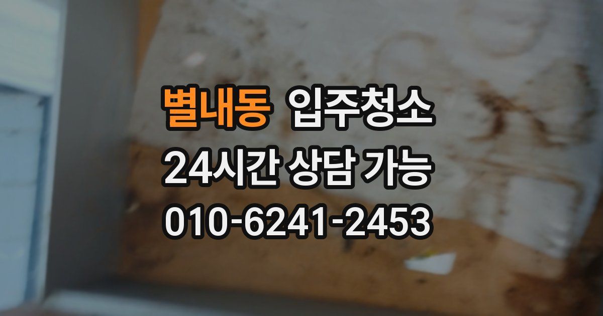 별내동 입주청소