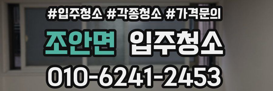 조안면 이사청소