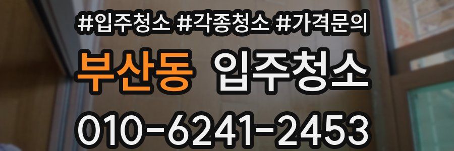 부산동 이사청소