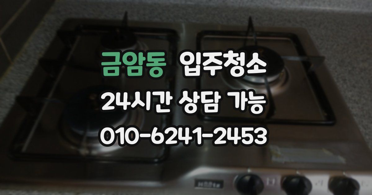 금암동 입주청소