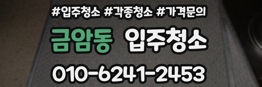 금암동 이사청소