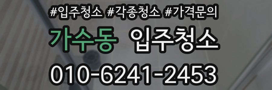 가수동 이사청소