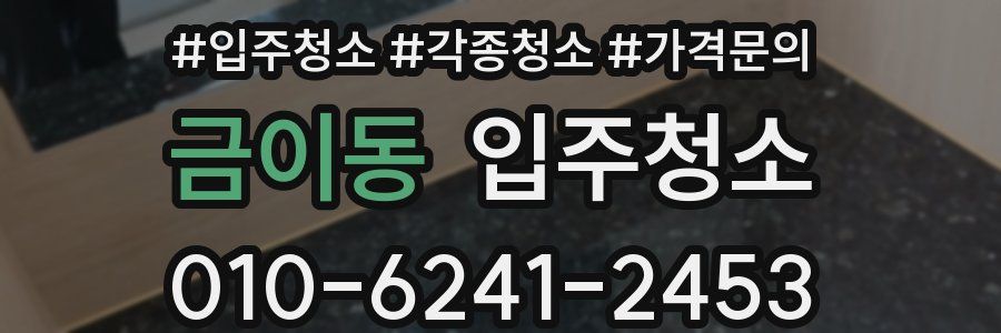 금이동 이사청소