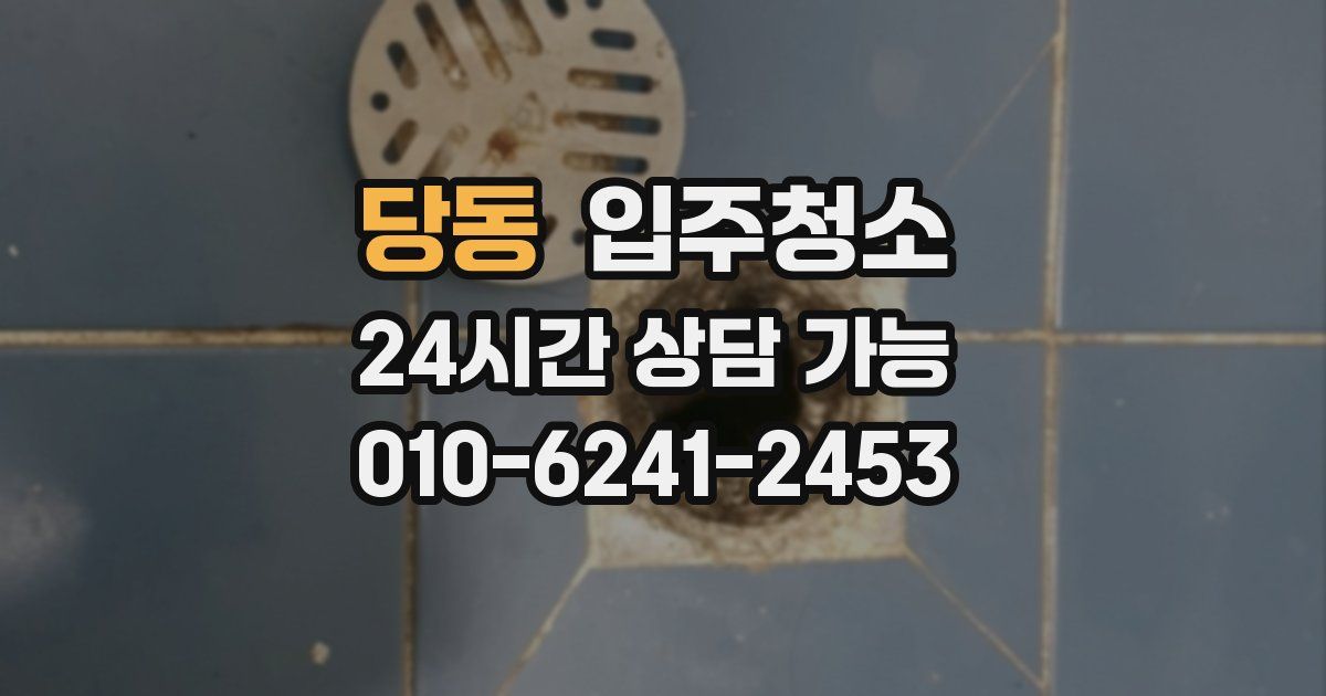당동 입주청소