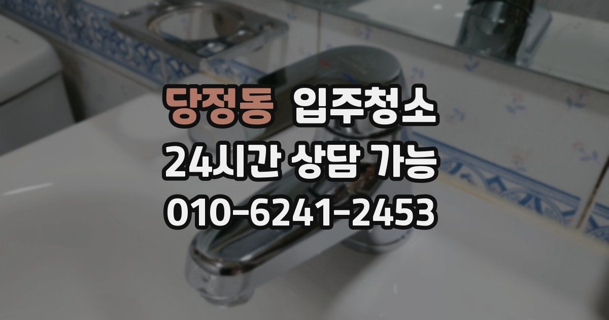 당정동 입주청소