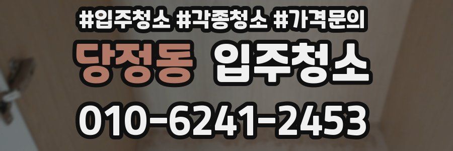 당정동 이사청소
