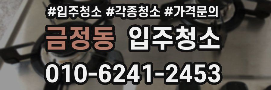 금정동 이사청소