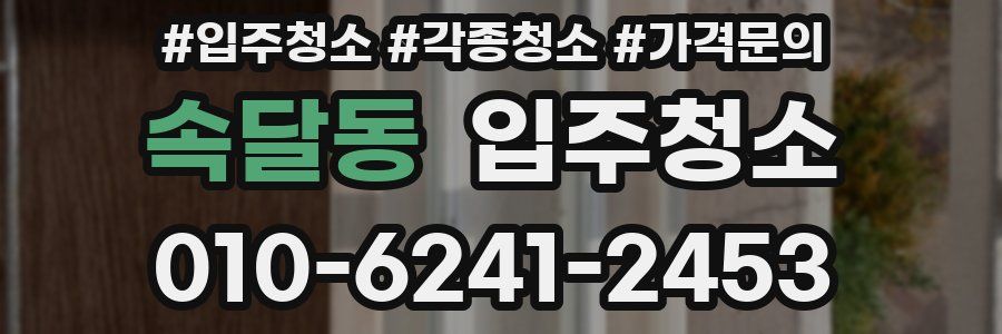 속달동 이사청소