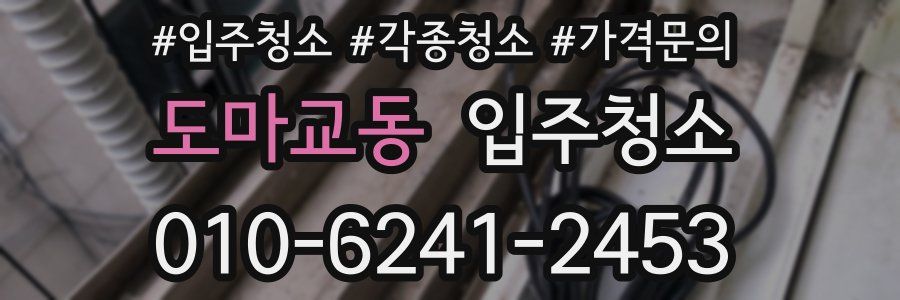 도마교동 이사청소