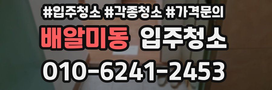 배알미동 이사청소