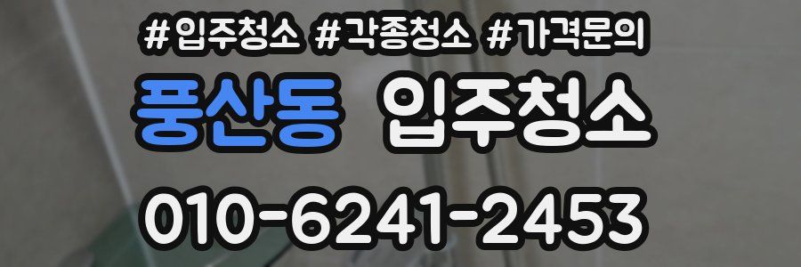 풍산동 이사청소