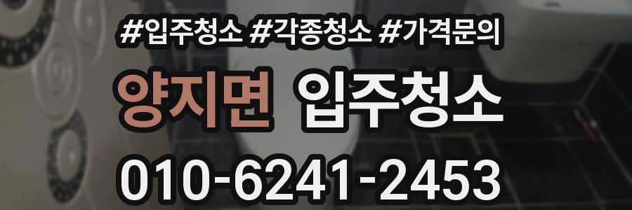 양지면 이사청소