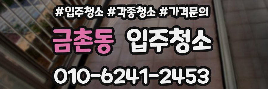 금촌동 이사청소