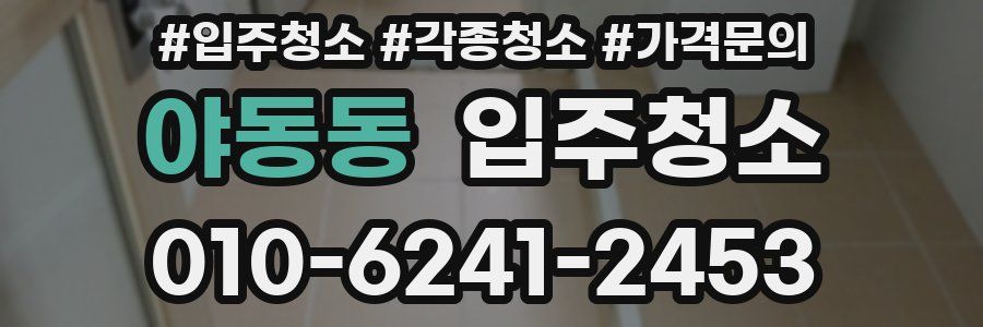 야동동 이사청소