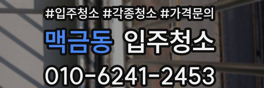 맥금동 이사청소