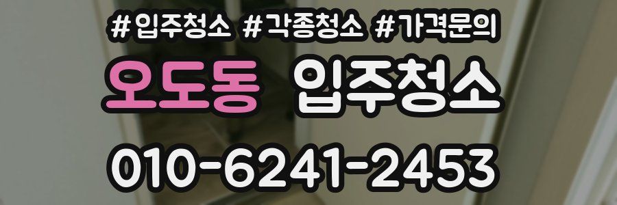 오도동 이사청소