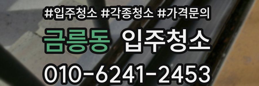 금릉동 이사청소