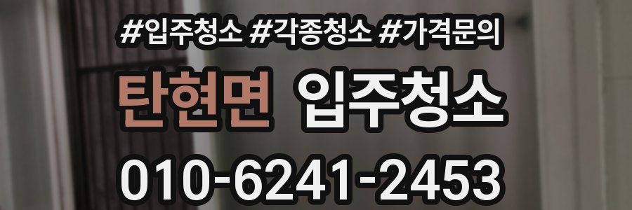 탄현면 이사청소