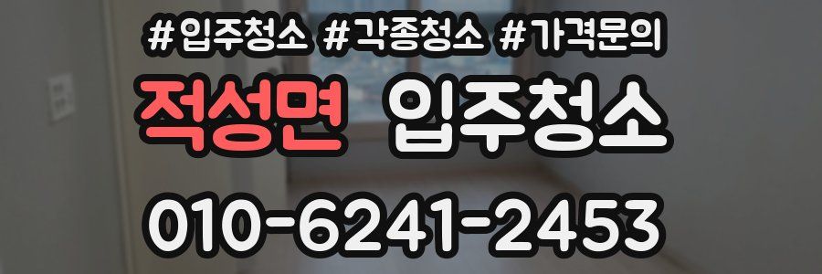 적성면 이사청소