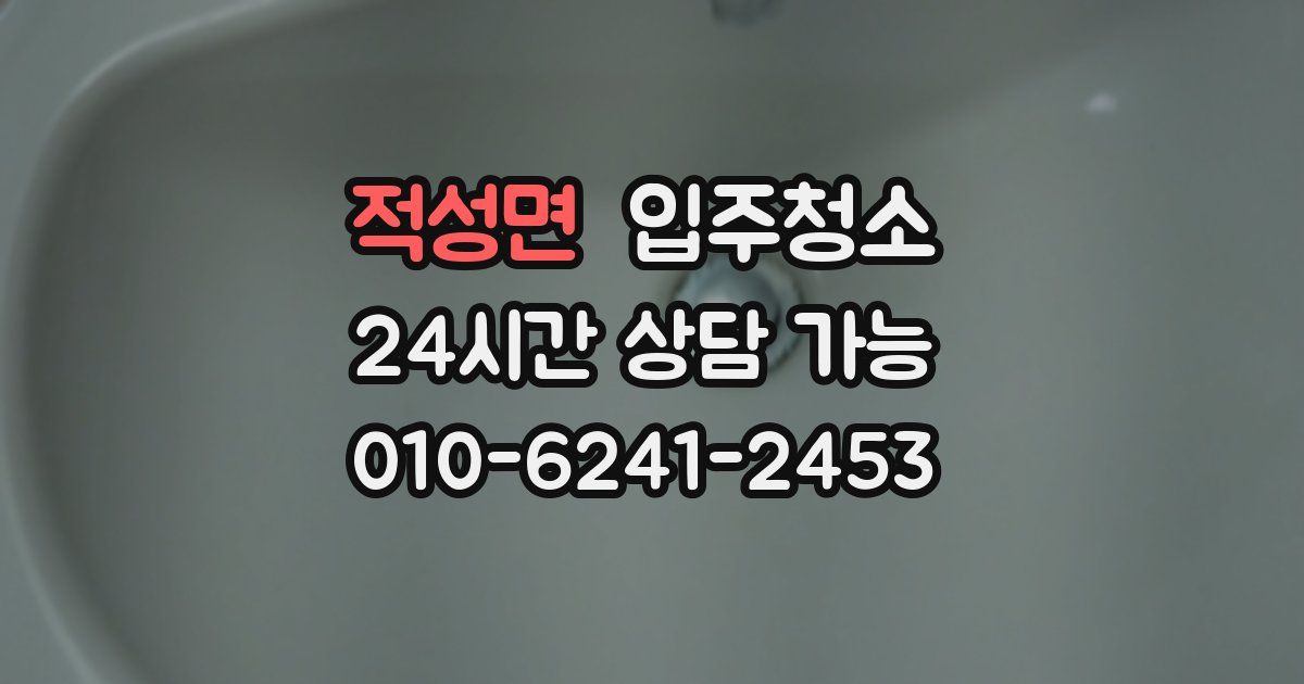 적성면 입주청소