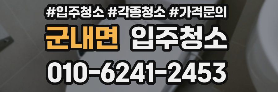 군내면 이사청소