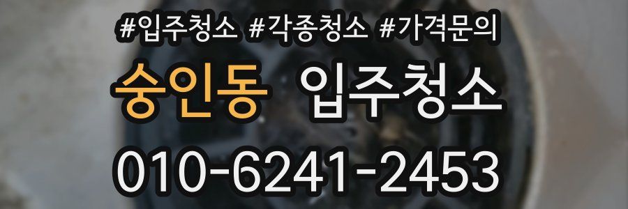 숭인동 이사청소