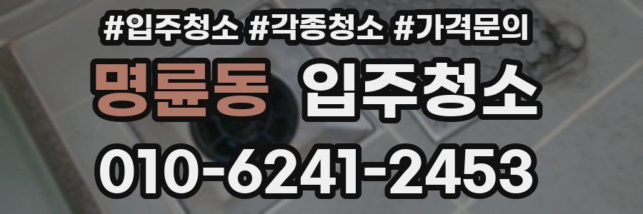 명륜동 이사청소