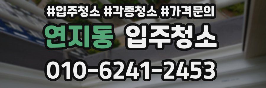 연지동 이사청소